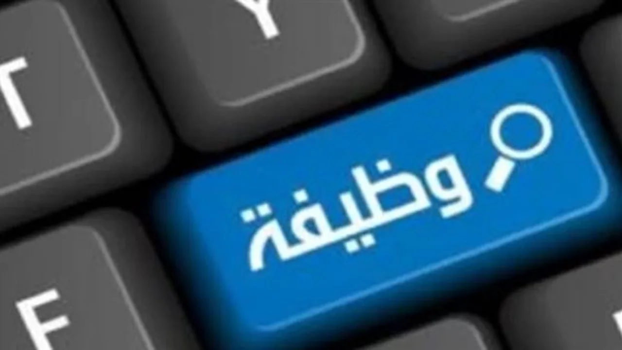 وظائف شاغرة.. رواتب مغرية لمحاسبين ومندوبي مبيعات وكيميائيين